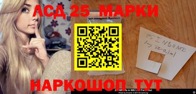 гидра Краснокаменск